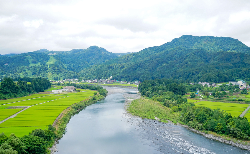 海洋・河川・水中